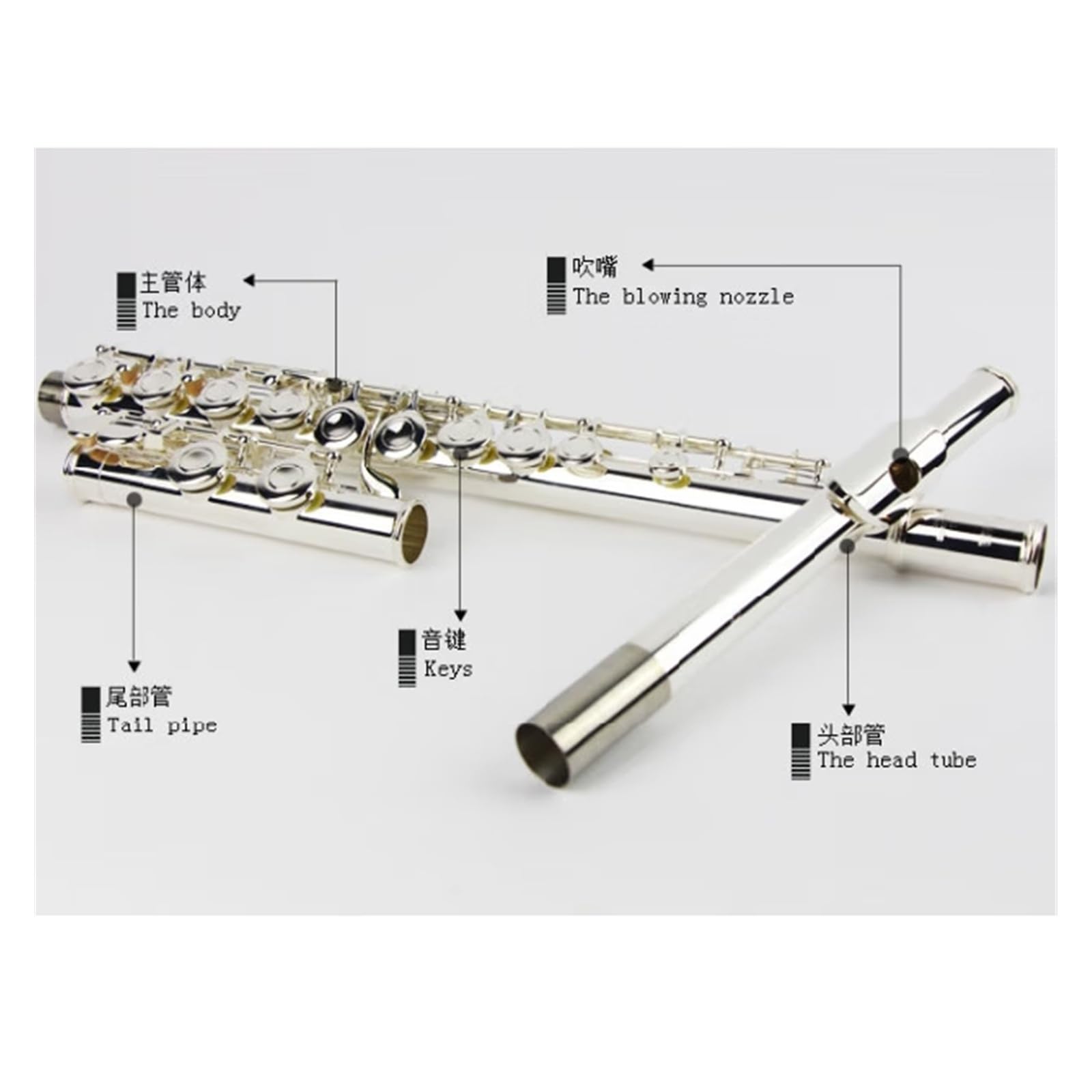 Flauto Traverso Strumenti musicali per flauto Strumenti musicali professionali per principianti