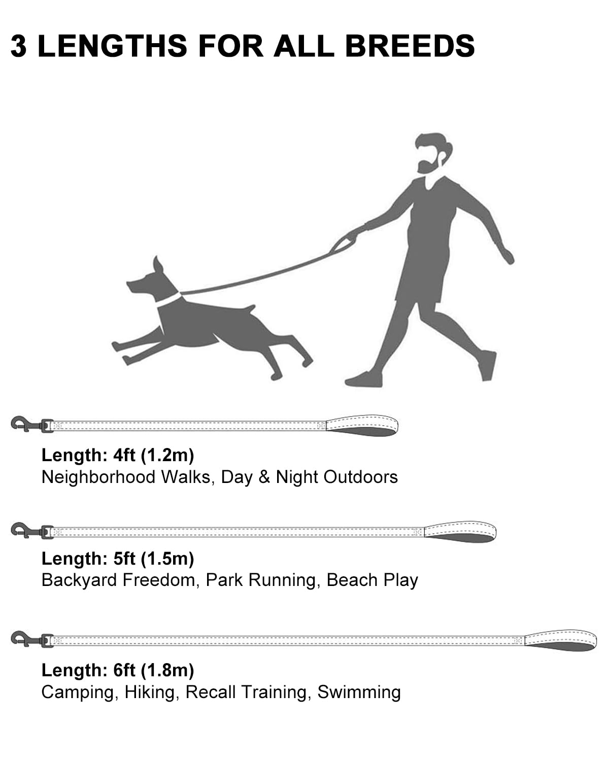 Taglory Laisse Chien Nylon, pour Petit et Moyen Chien, Chiot, Promenade Sereine, Réfléchissante, Poignée Confortable, 180cm x 2cm, Noir