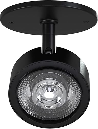 Miniatura 10 de VEOLUX Foco LED moderno, accesorio de iluminación monopoint de acento para interiores, 10 W, 3000 K, para estantería, galería de arte, dormitorio,