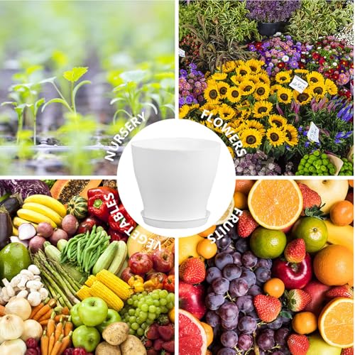 Pots de fleurs intérieur extérieur avec plateau de drainage - 5