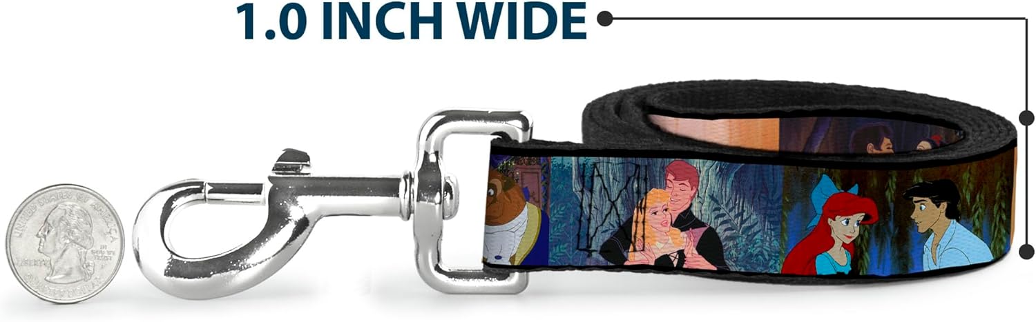 Buckle-Down Pet Leash - Disney Princess Scenes Framed - 6 Feet Long - 1" Wide
