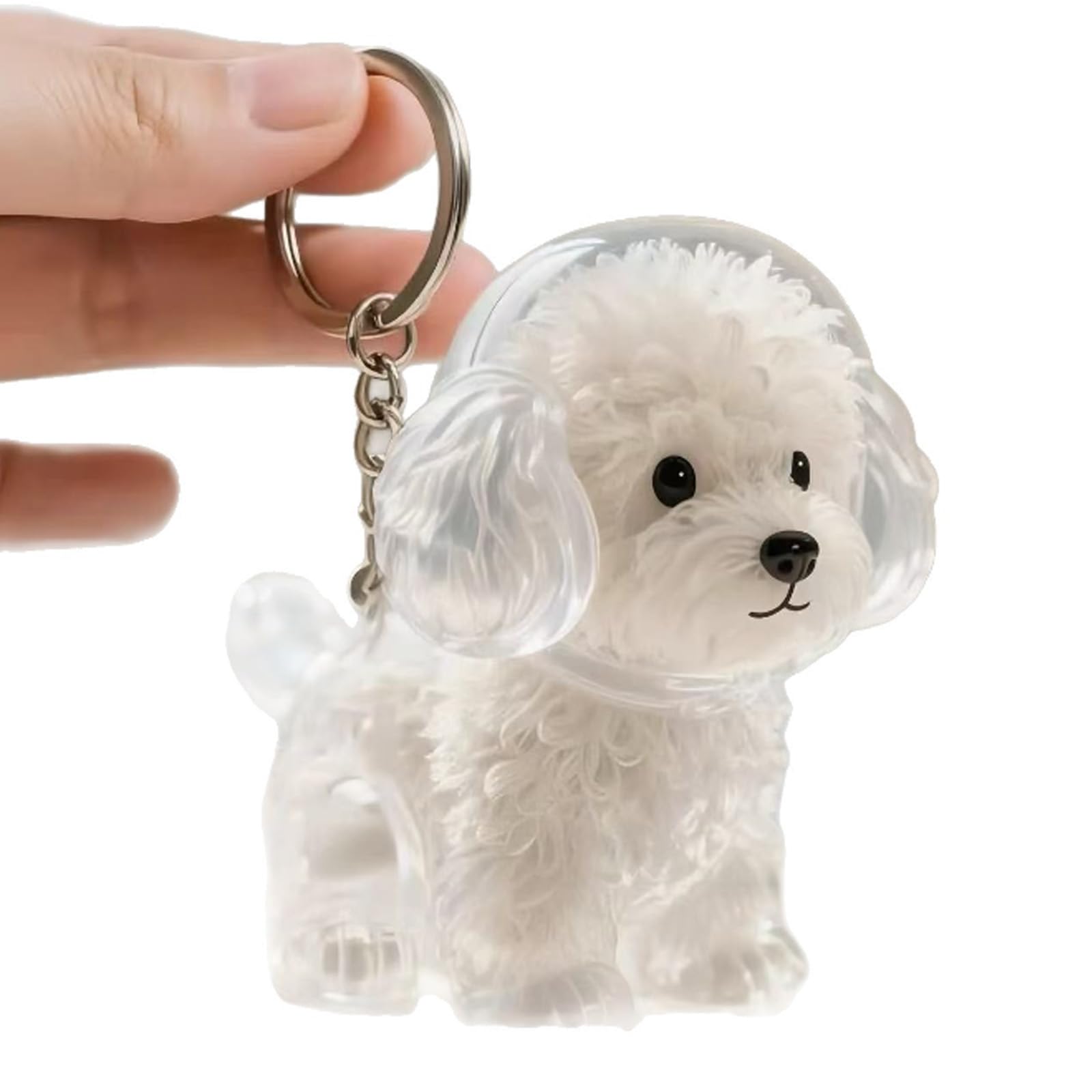 Portachiavi commemorativo trasparente per animali domestici, per peli di cani, per collezionisti di cani, regalo per proprietari di cani in lutto