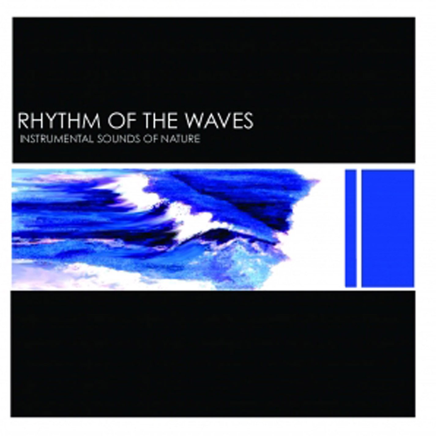 Rhythm of the Waves 2009  Music CD Album