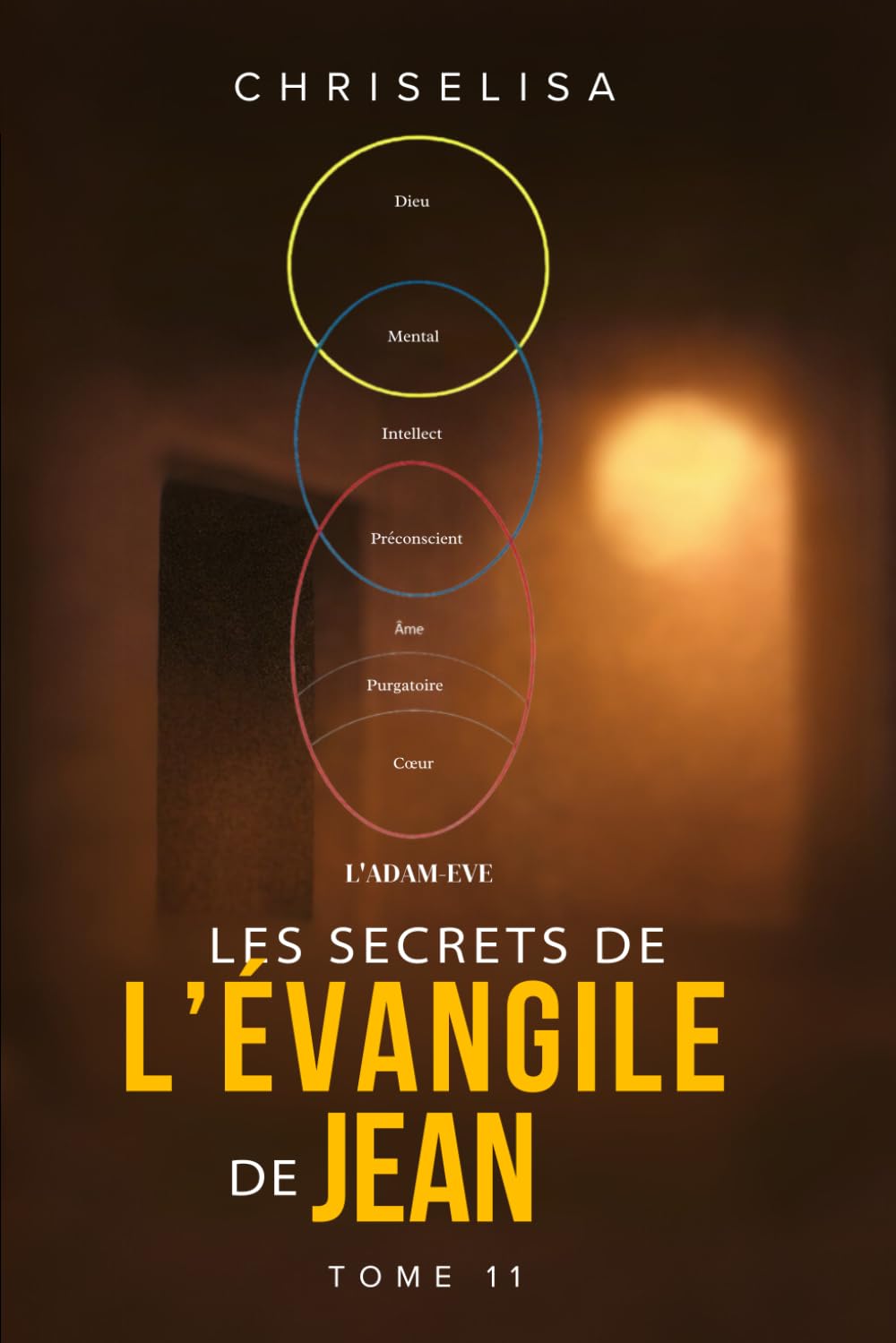LES SECRETS DE L’EVANGILE DE JEAN: TOME 11