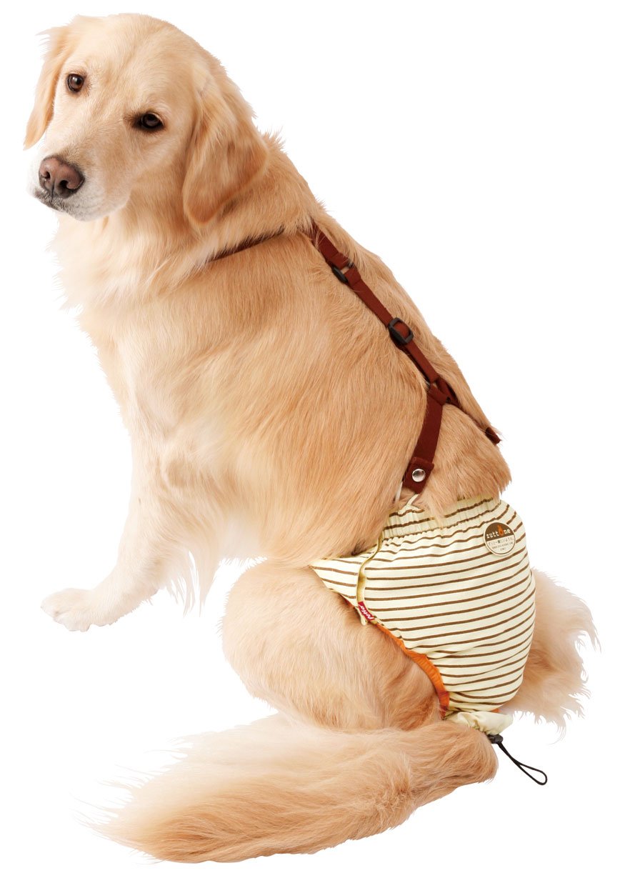 Amazon | ペティオ (Petio) ずっとね おむつパンツK 大型犬用 3L