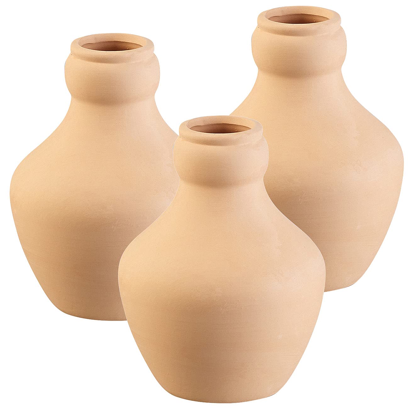 3 doseurs dirrigation en terre cuite - 1 L [Royal Gardineer]