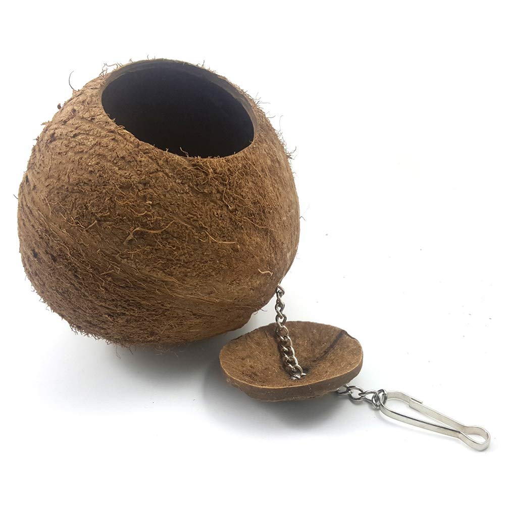 POPETPOP Nido di Uccello in Legno con Altalena da Arrampicata da Allenamento Stand da Gioco per cocorite di conuri Cockatiels Accessori Gabbia per Gabbie