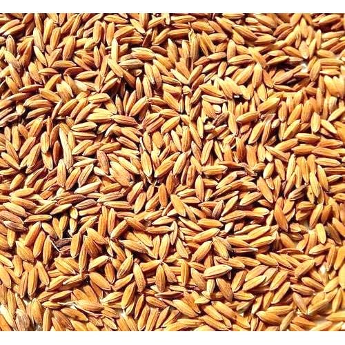 Raw Basmati Rice Paddy Seeds for Birds Food All Life Stages Birds Vadlu for Bird Seed 900 gram (B0CX218H85) Amazon Price History, Amazon Price Tracker