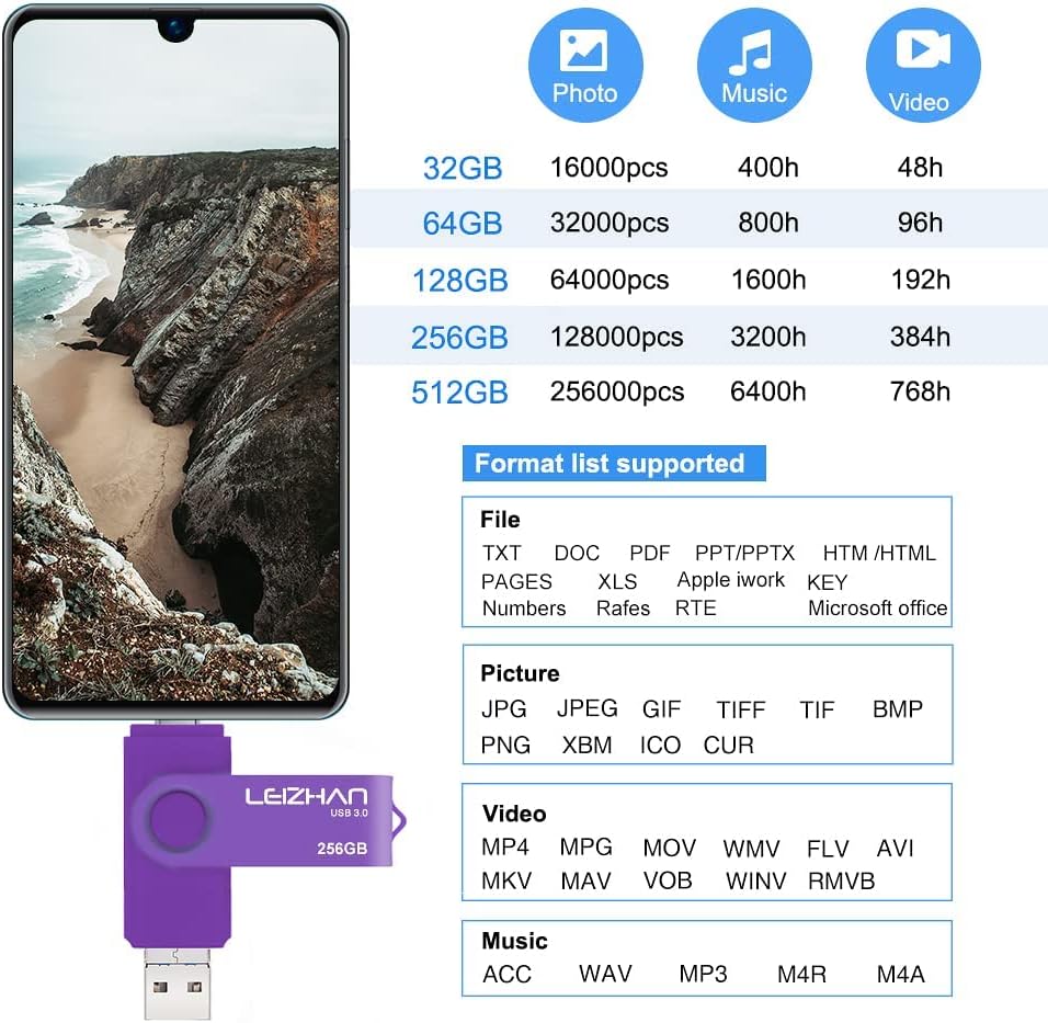Leizhan 256GB Flash Drive 3 in 1 Type-C/Micro/USB 3.0 OTG Flash Drive High Speed Memory Stick Thumb Drive Compatible with Samsung Galaxy,Hua Wei,LG,Google Pixel, More Android Smartphone, Tablet, PC