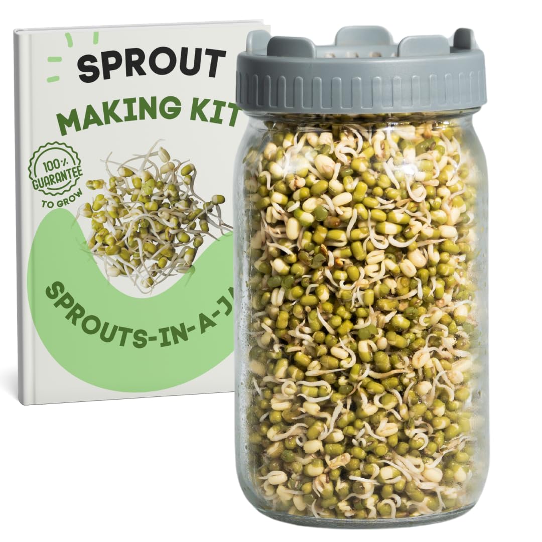 Sprout Jar | Sprouting Kit with Hygienic Sprout Maker Box and Air Ventilated Mesh Lid | Easy Sprouting for Alfalfa, Moong Dal, Chana, and More | 1L Glass Sprouting Jar - Made in India