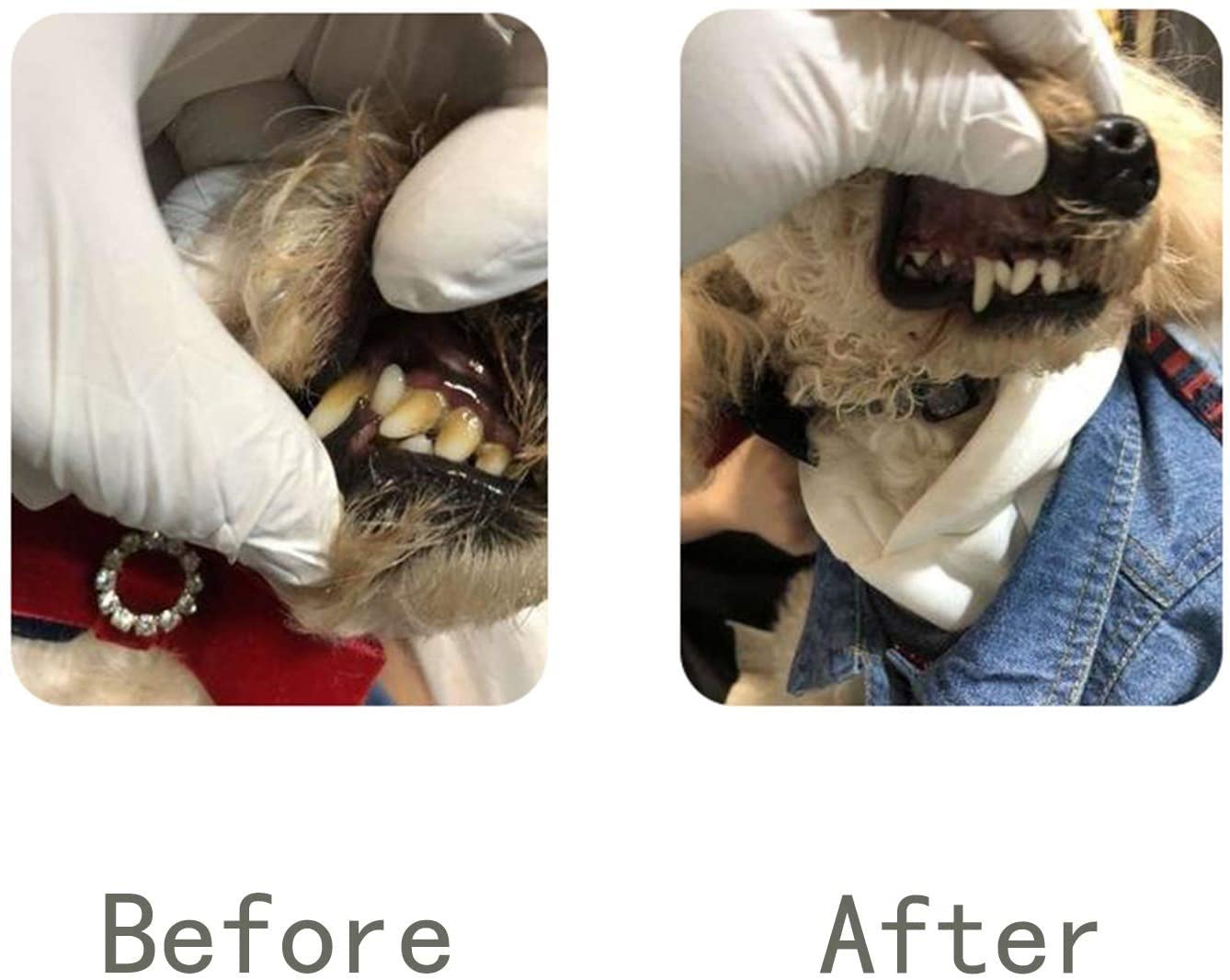 Cepillo De Dientes EléCtrico para Mascotas Limpiador De Sarro Pulidor EléCtrico De Dientes para Mascotas Limpiador De Manchas De Placa Cachorro Cuidado Dental Kit De Limpieza para Perros Gatos