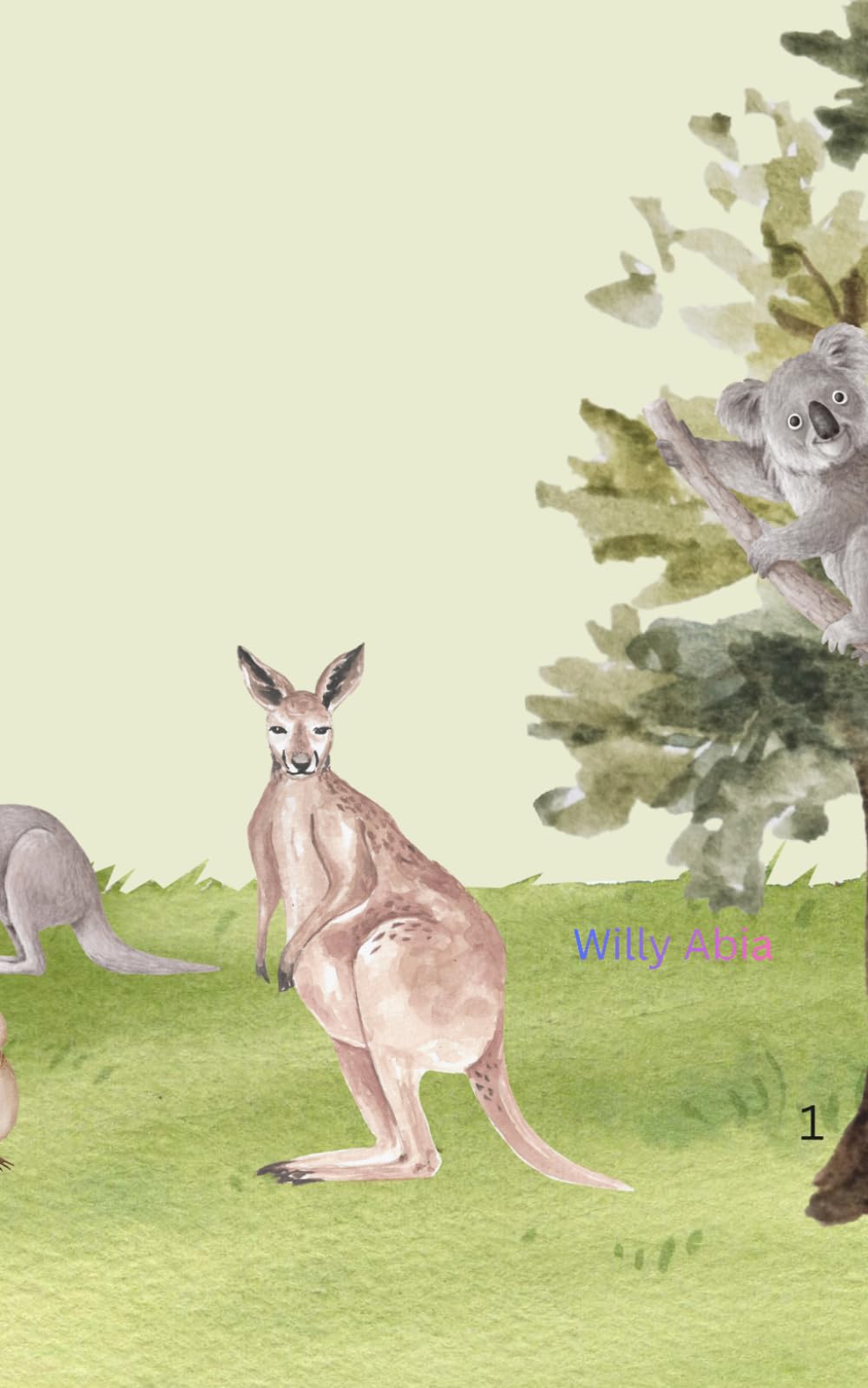 The wonders of Australian wildlife colouring book