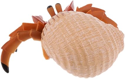 Amazon Tachiuwa 3ピース 個リアルな海海洋動物レッドカニヤドカリフィギュアモデルおもちゃ自然 プラモデル 通販