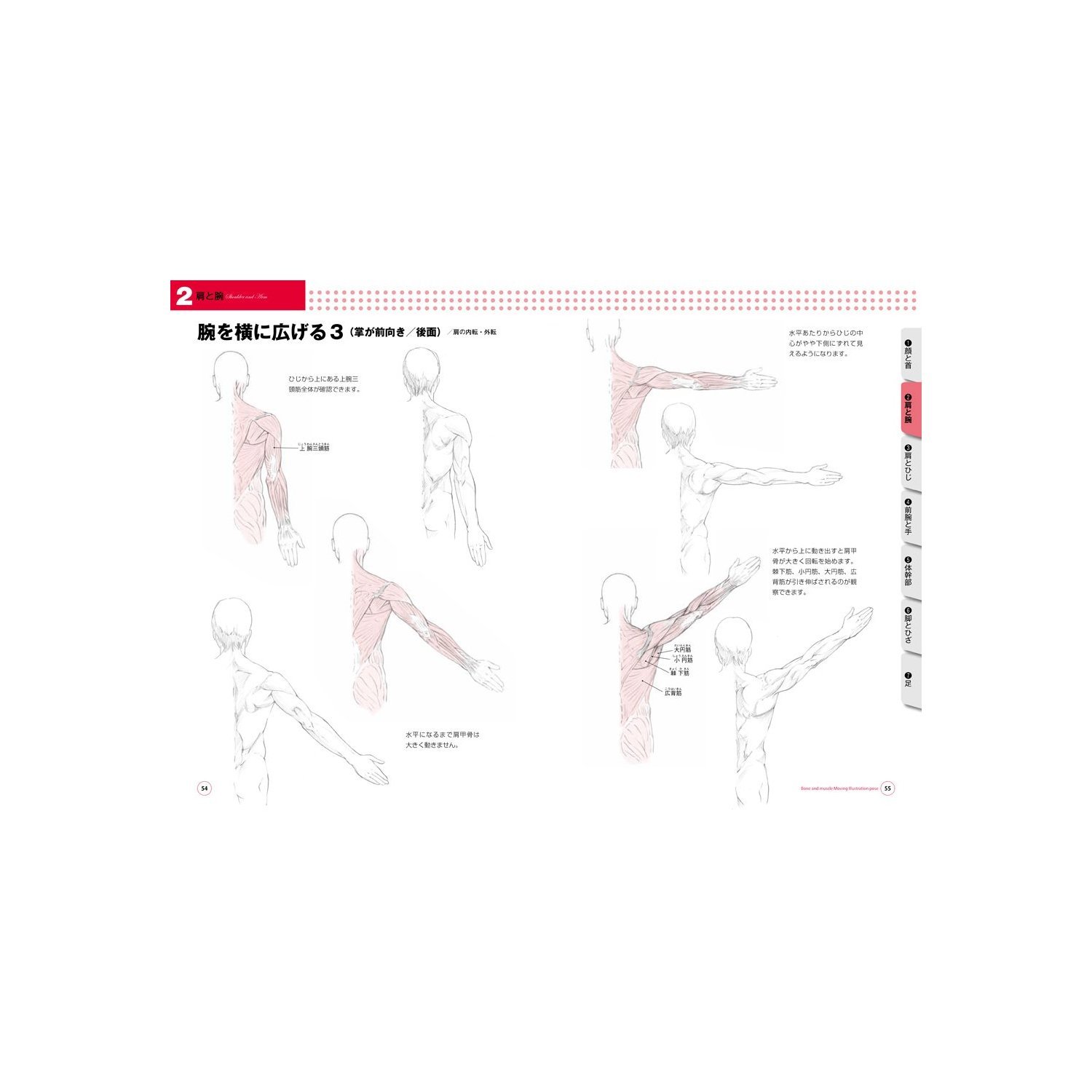 骨と筋肉がわかる人体ポーズ集 動く美術解剖図 廣済堂マンガ工房 佐藤 良孝 本 通販 Amazon