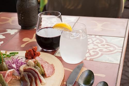 Fortessa Outside - Paquete de 6 vasos de plástico de copoliéster de alta calidad, resistentes a las roturas y astillas, sin BPA, 19 onzas (paquete