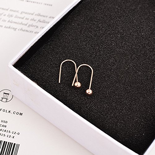 Korean Song Hye Kyo earrings earrings wild female models 18K rose gold-plated steel ear ear hook ear jewelry
