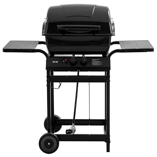 2 Burner Propane Gas Grill with 26,500 BTUs Output, Porcelain-Enamel Main Body and Lid, Propane BBQ Grill with Warming Rack & Side Tables for Patio, Backyard, Poolside Gatherings