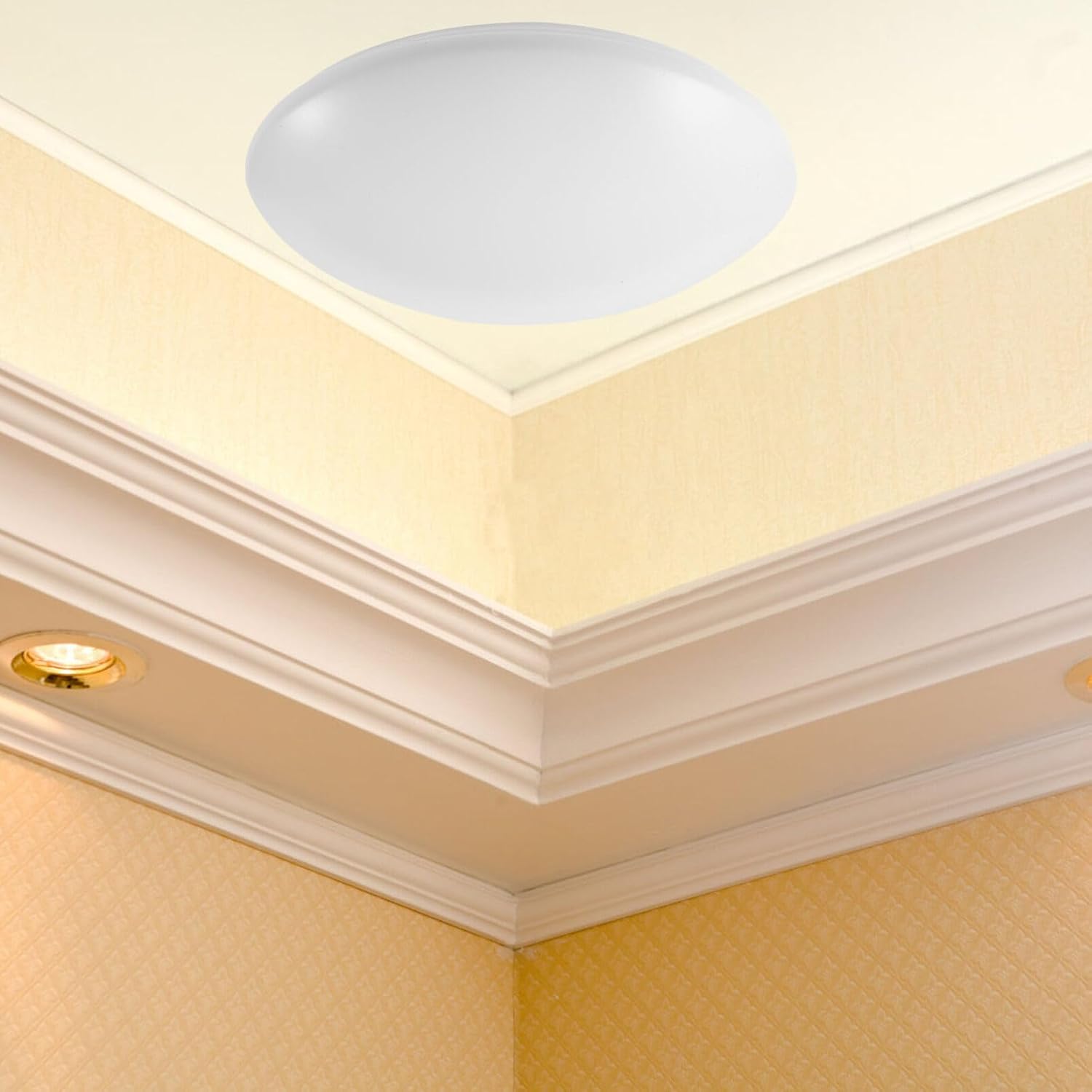 Toddmomy 11 Inch Round Plastic Ceiling Lamp Cover Flame Retardant Clip-on Light Shade for Home Office Kitchen Bathroom Flush Mount Light Replacement