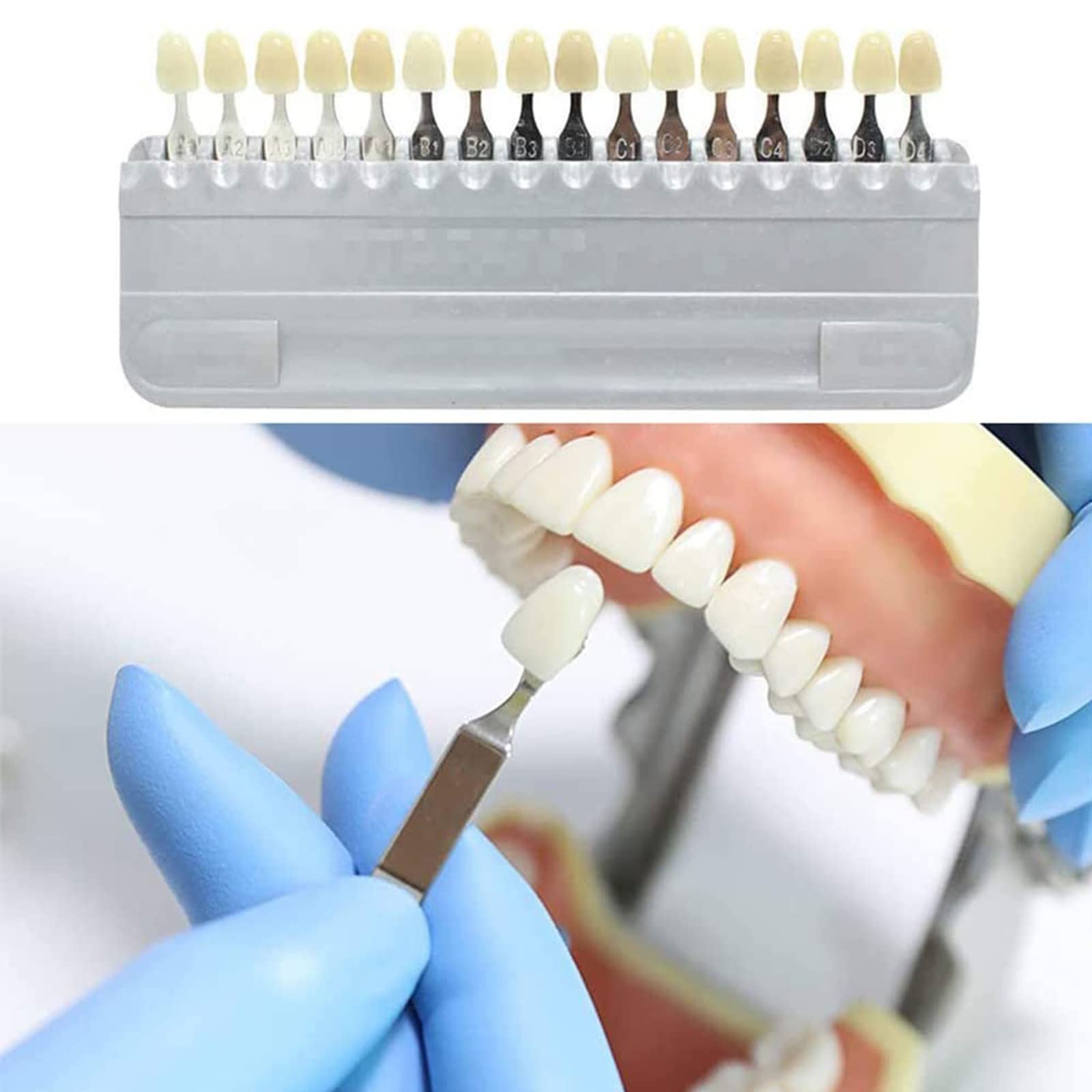 Amazon.co.jp: デンタルシェードガイド、16色の歯のホワイトニング