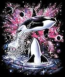 JQ Signature 3KG Heavy Mink Quality Korean Style Queen Blanket 