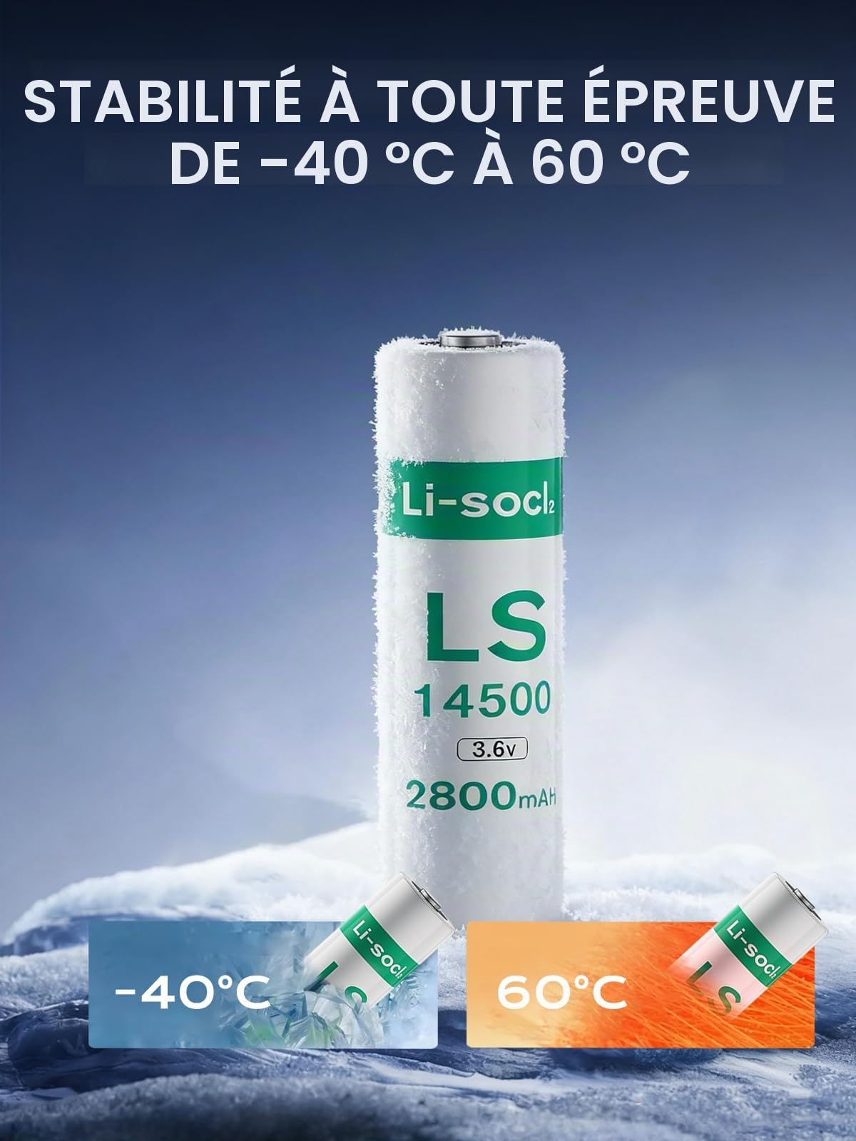 Lot de 10 Piles LS1450O, 3,6 V AA Lithium 2800mAh Batterie ER1450O Lithium Haute Capacité (Non-Rechargeable)