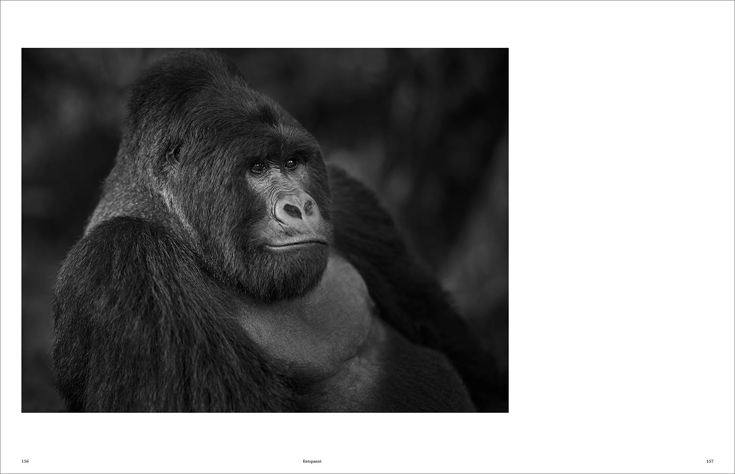KUNTH Bildband Wild und frei