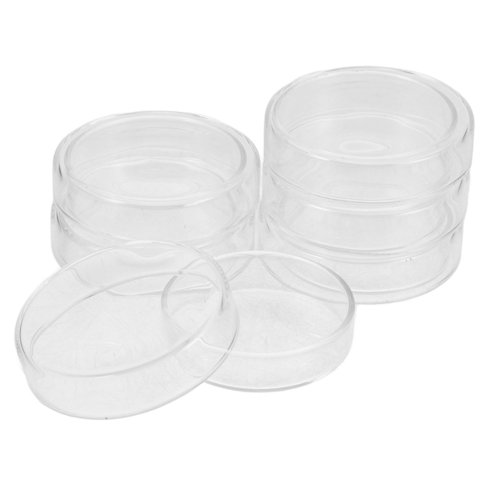 ABOOFAN 6pezzi Piastre Petri Da Laboratorio Piastre Con Petri Per Tessuti Cellulari Trasparenti Pz Agar Per Funghi in Agar