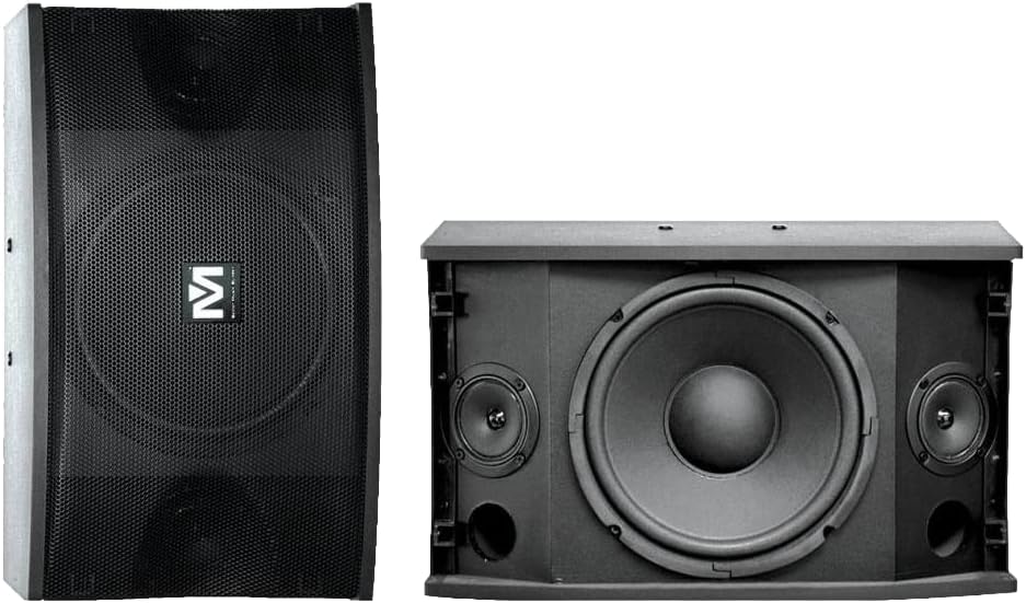 Better Music Builder CS-500 Pro 450 Watts Karaoke Speaker (Pair), Black