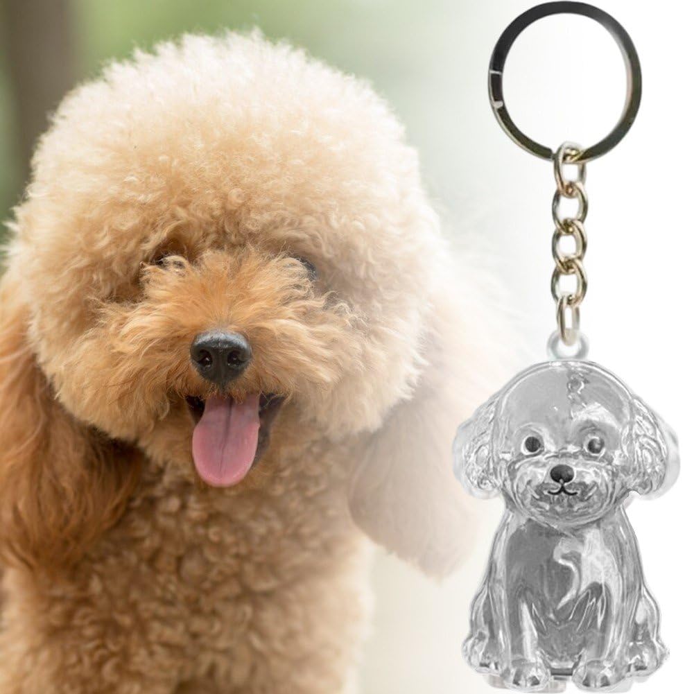 Llavero Coleccionista De Pelo De Mascota - Forma De Perro O Gato, De Cuero, Para Recoger Pelos De Ropa Y Sofá, Práctico Y Divertido