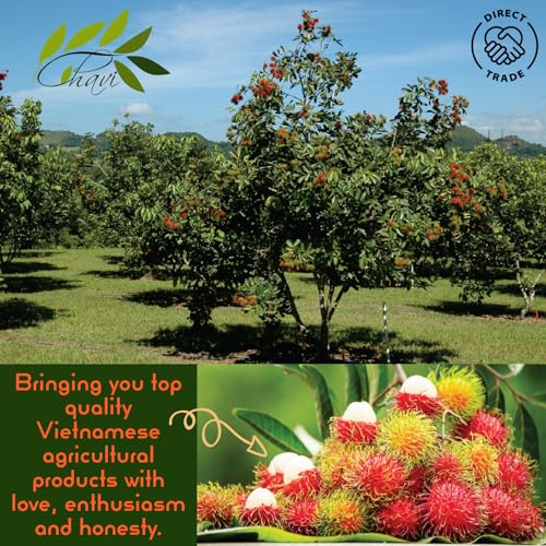 Image of CHAVI Freeze-Dried Rambutan | 4 oz | Pack of 2 x 2 oz | Healthy 1 Ingredient Superfood Supersnacks - Kids School Snacks - No Added Sugars or Preservatives - Non-GMO, Vegan, Gluten-Free