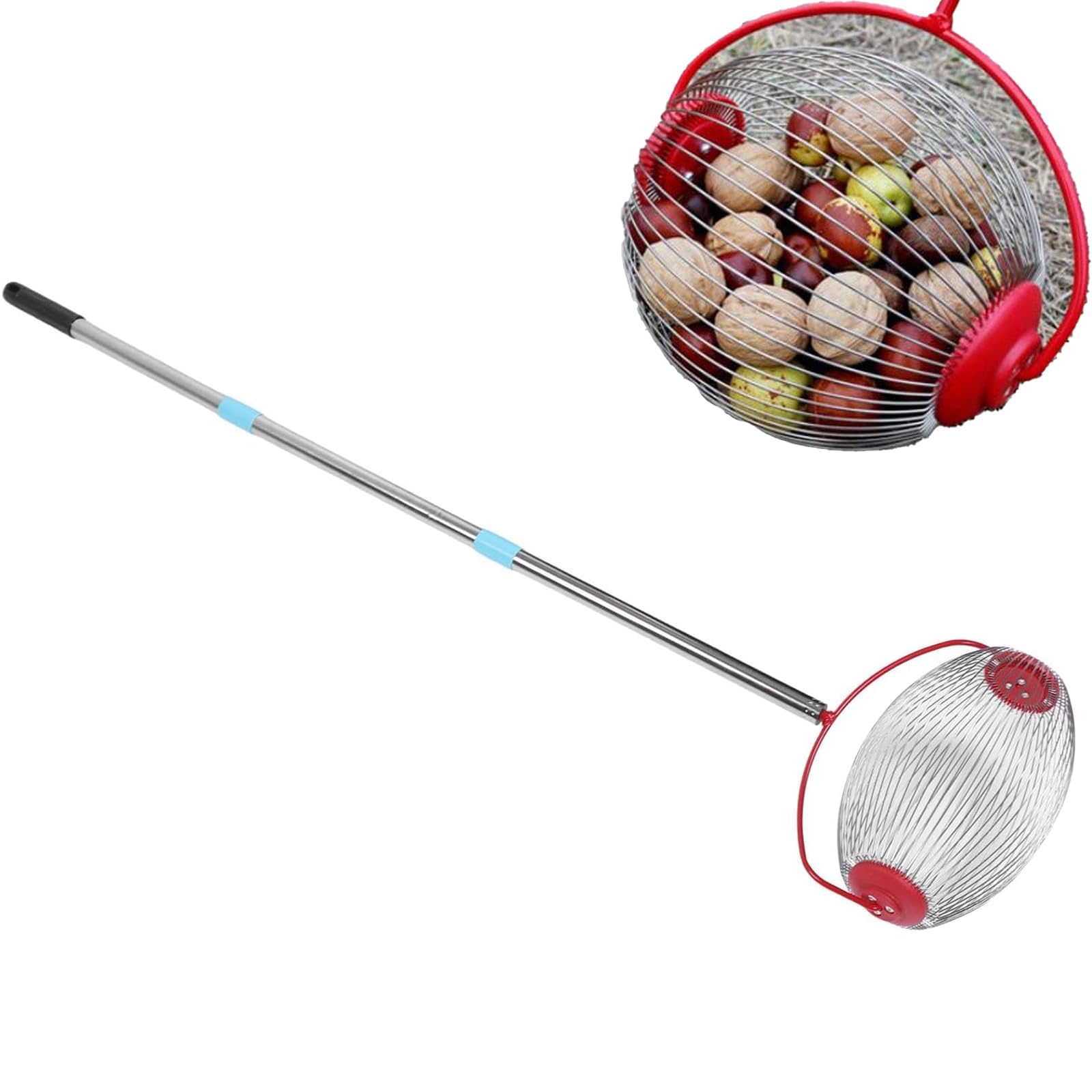 Rodillo superior recogedor de bellotas – Colector de nueces portátil ligero con mango largo ajustable para una fácil recogida de bellotas, castañas, nueces y bolas