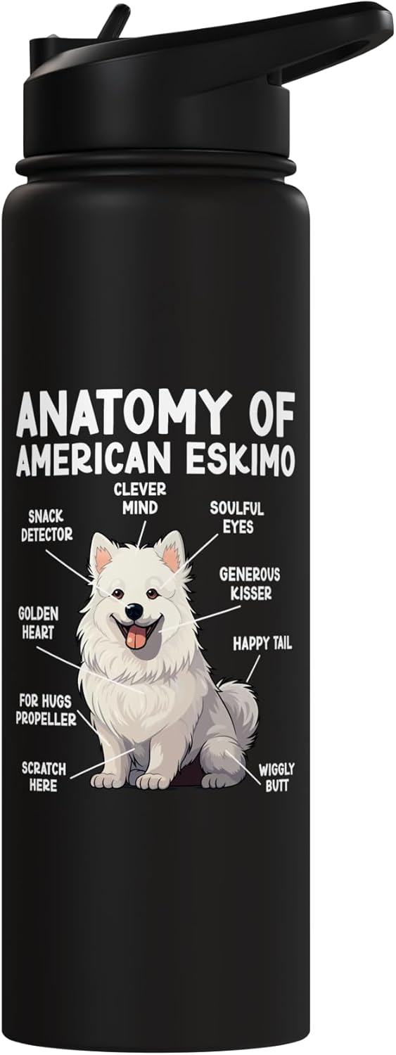 Anatomy Of American Eskimo Dog Owner American Eskimo Lover Stainless Steel Insulated Water Bottle