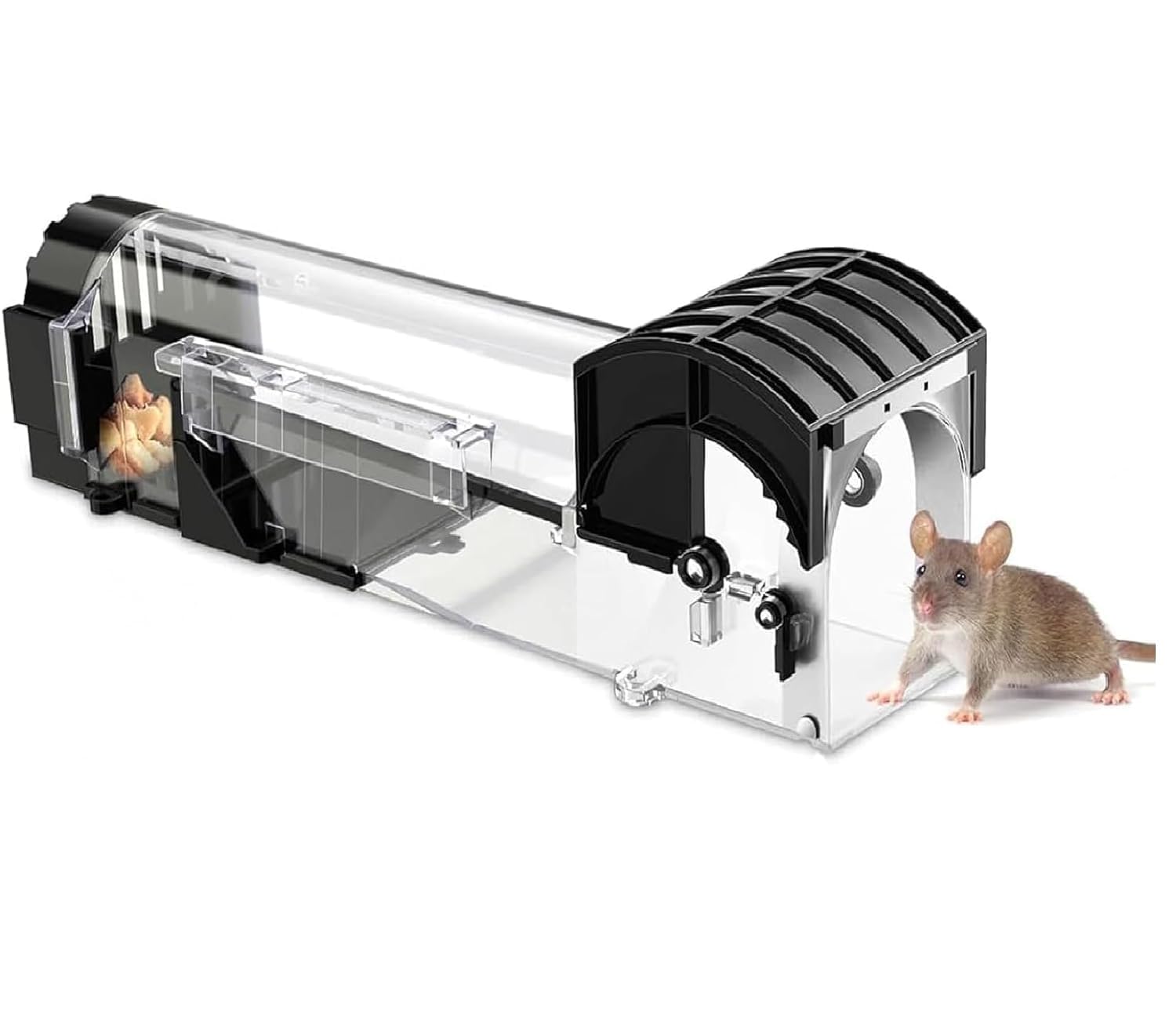 Large Humane Rat Trap Cage – 32cm Transparent No-Kill Mouse Trap | Reusable Rodent Catcher for Home, Garden & Warehouse | Steel Reinforced Live Animal Trap-image-40