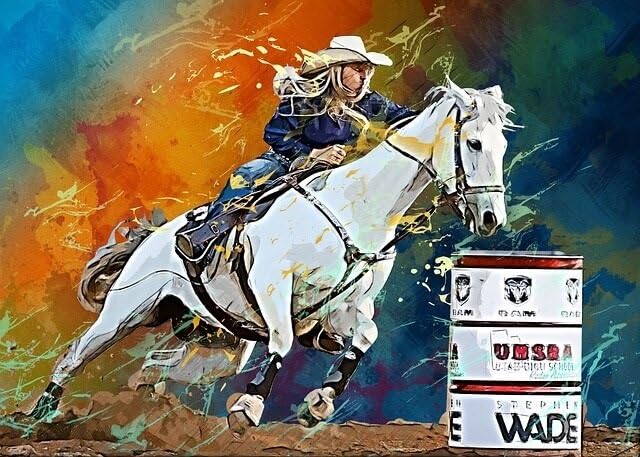 Generic Cowgirl on The Move Fabric Panel - CBY-020, Panel Size is 24” X 17”, Quality Quilting Cotton