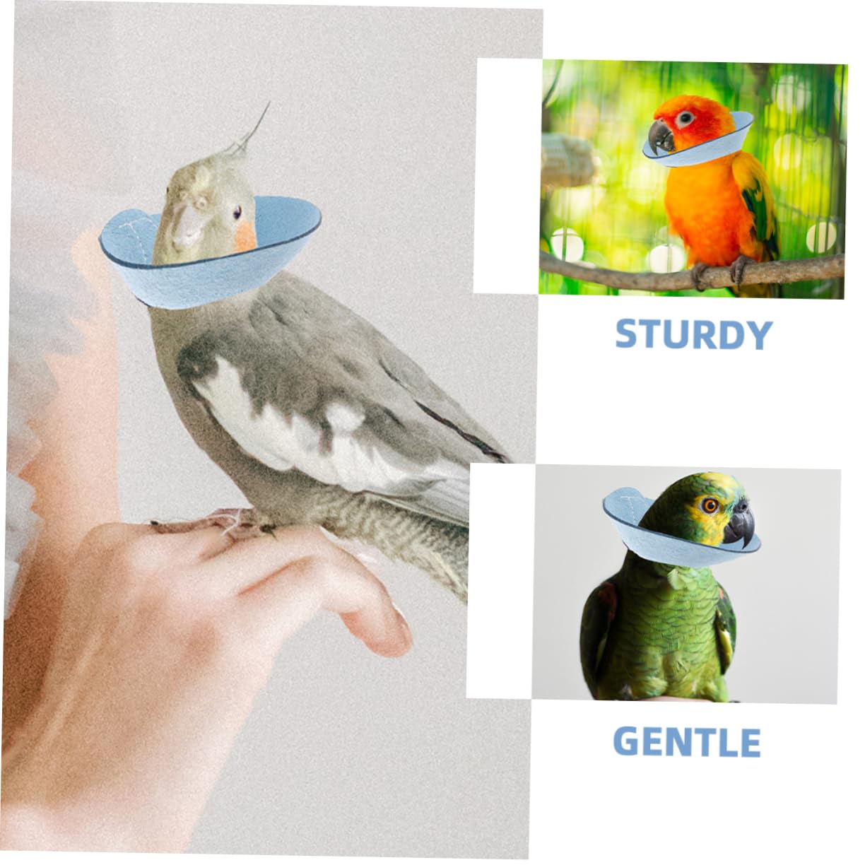 balacoo Bird Pecking Cone Bird Neck Cone Parrot Collar Soft Washable Parrot Protect