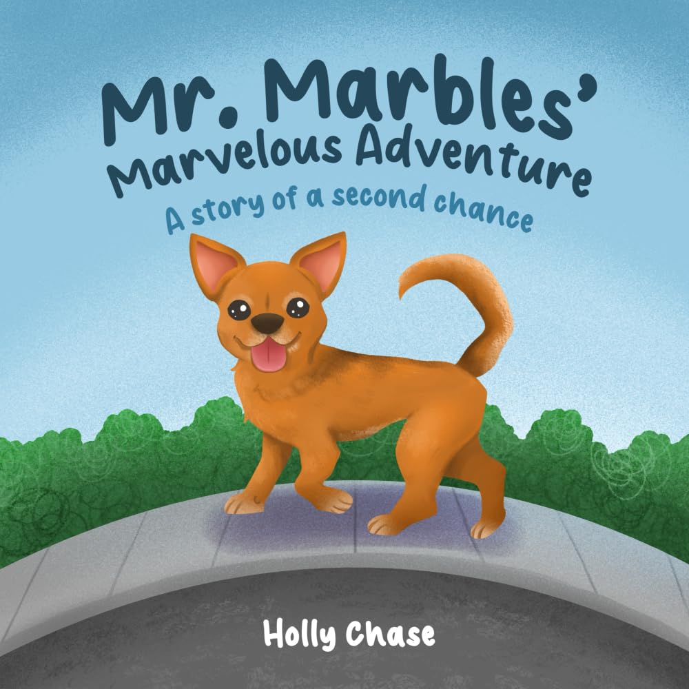 Mr. Marbles' Marvelous Adventure: A Story of a Second Chance