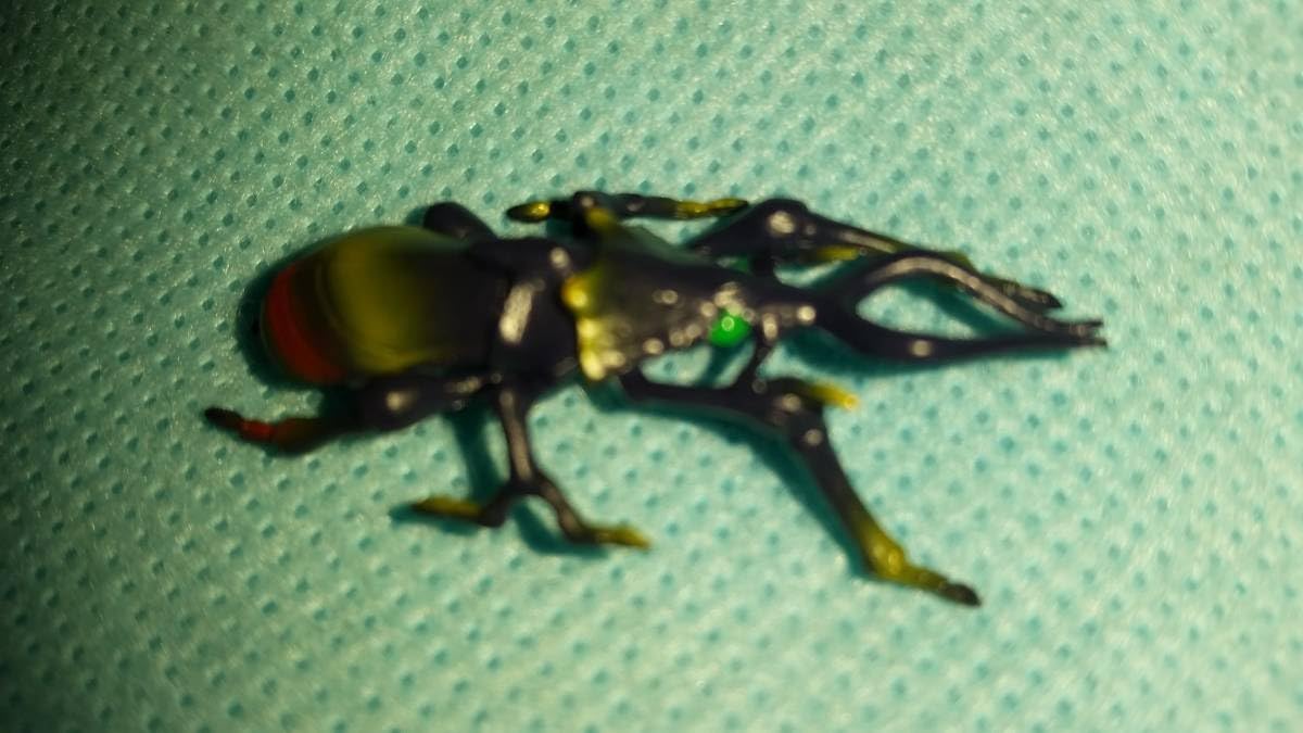 Amazon | 生物：名称不明 キモかわいい虫 角なのか触覚なのか 