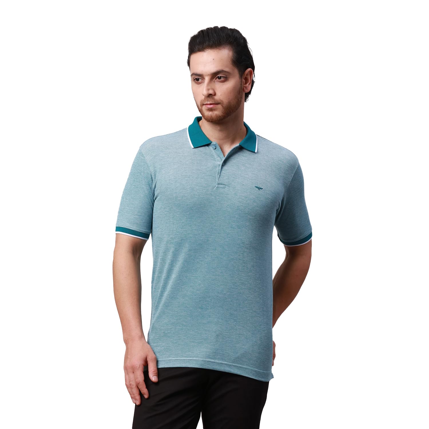 park avenue Men's Cotton Polyester Blend Stripe Pattern Slim Fit Rib Collar Polo Neck Half Sleeve Casual T-Shirt-picture-27
