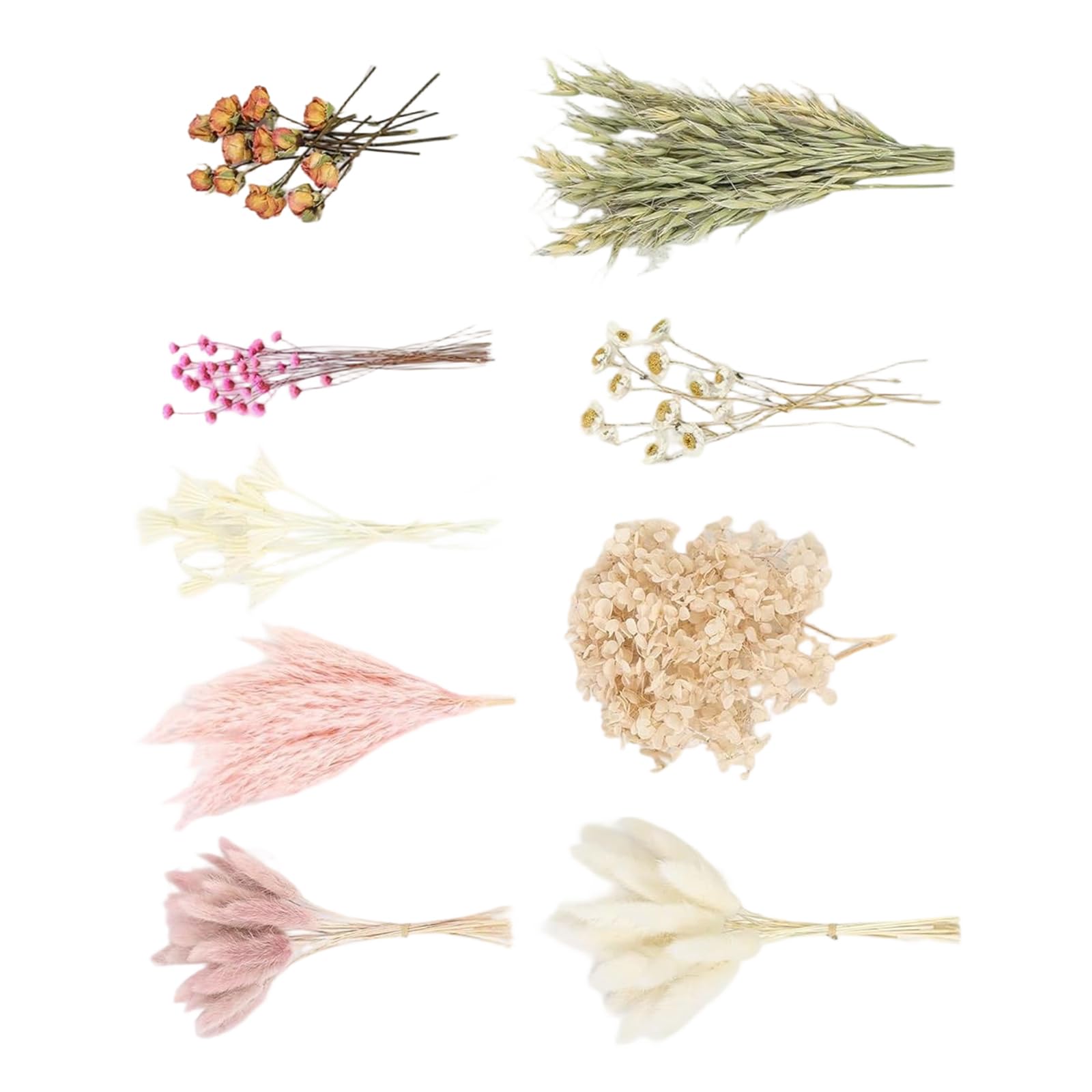 Tsophreniq Natural Dried Grasses Home Decoration Bouquets Phragmites Dried Flower Bouquets for Wedding Flower Arrangements Scrapbooking Handicraft Making Materials