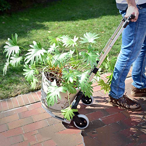 MIZE Steel Multi-Functional Folding Hand Truck with Anti Puncture Solid Wheel and 150 kg Capacity,Black Sack Trolley for Luggage Travel Strap - Image 8