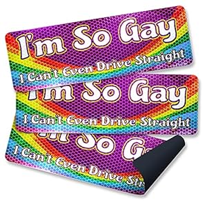 Anley I'm So Gay I Can't Even Drive Straig