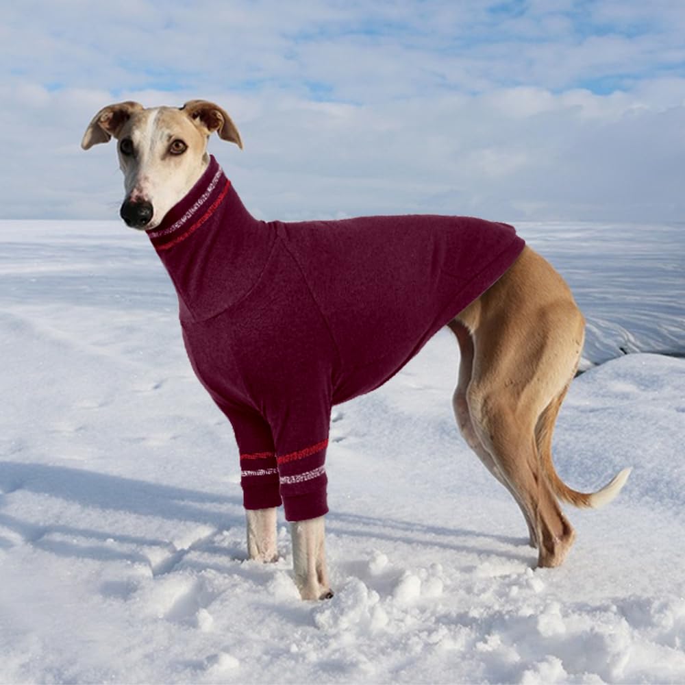 Suéter para perro de galgo, abrigo italiano para perros pequeños, sudadera de punto elástico con cuello alto, talla XS
