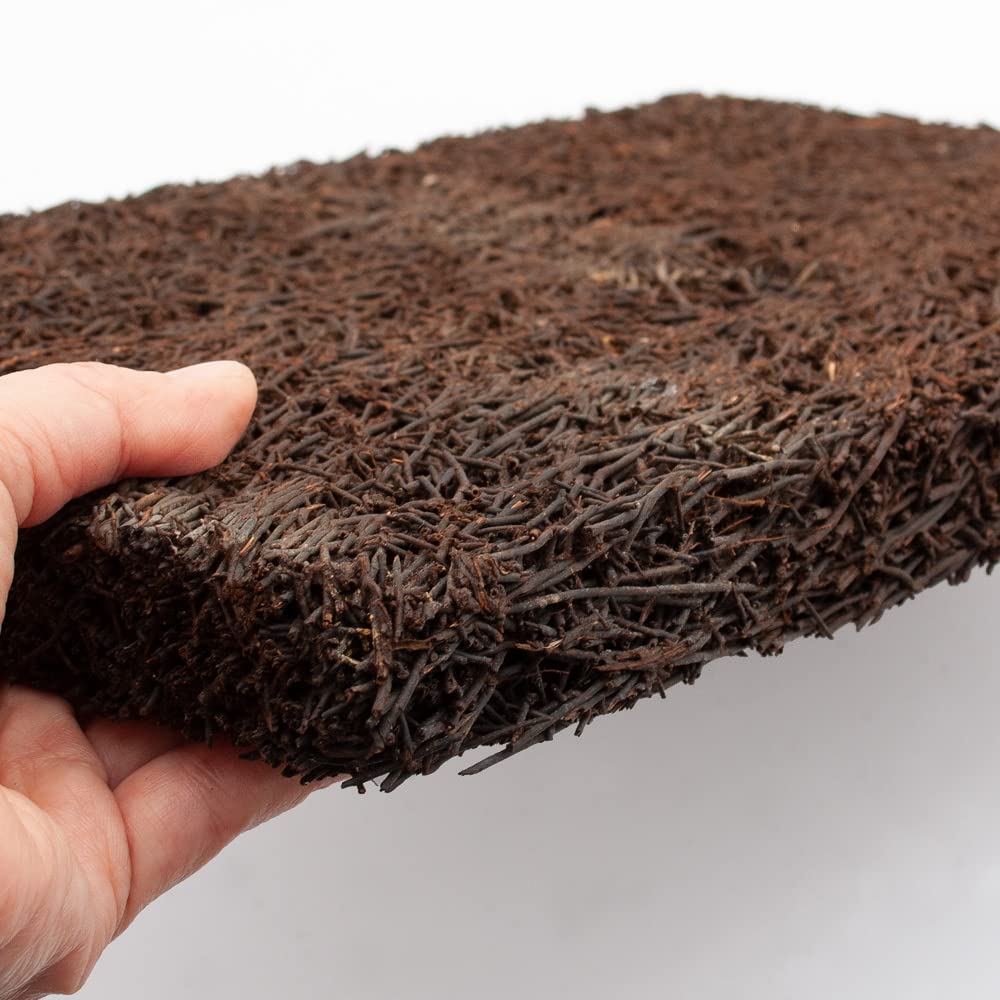 ヘゴ板 91hDWNmfVCL._AC_UF350,