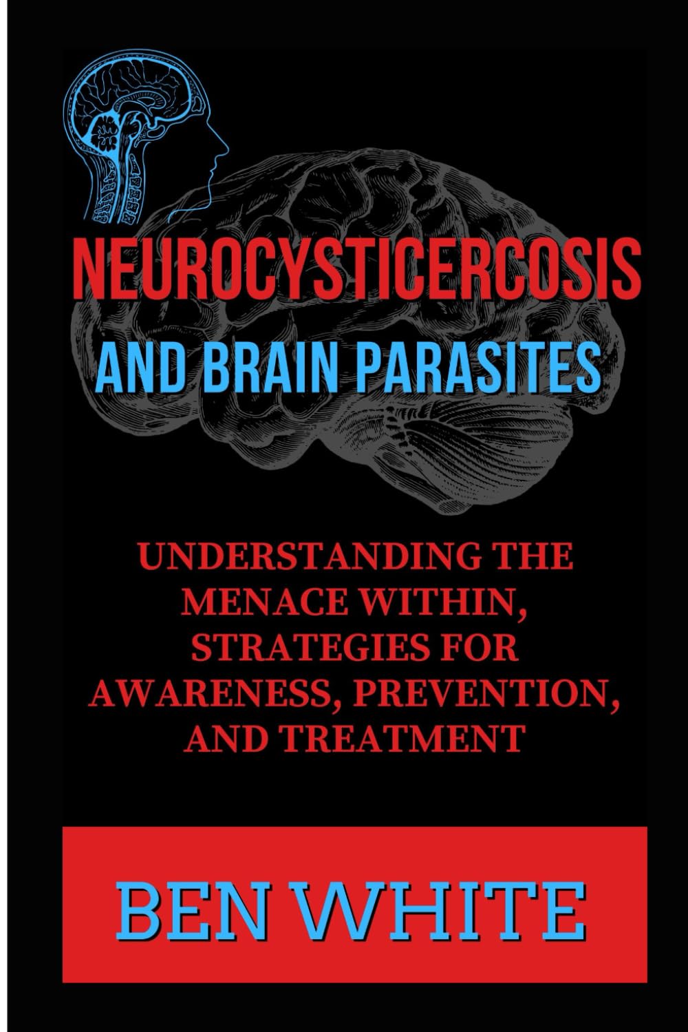 NEUROCYSTICERCOSIS AND BRAIN PARASITES: Understanding the Menace within, Strategies for Awareness, Prevention, and Treatment