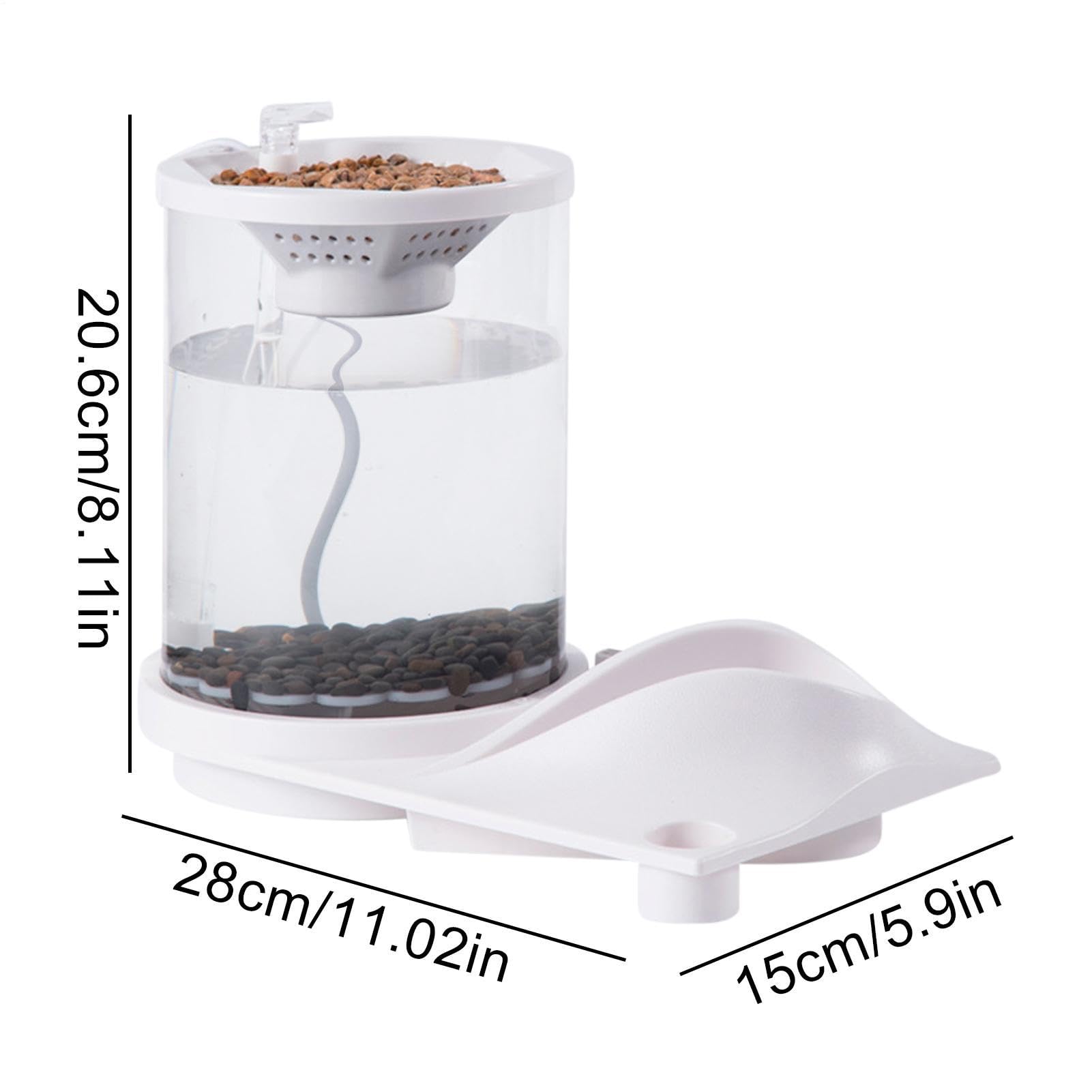 Piccolo acquario Aquaponic, piccolo acquario Betta