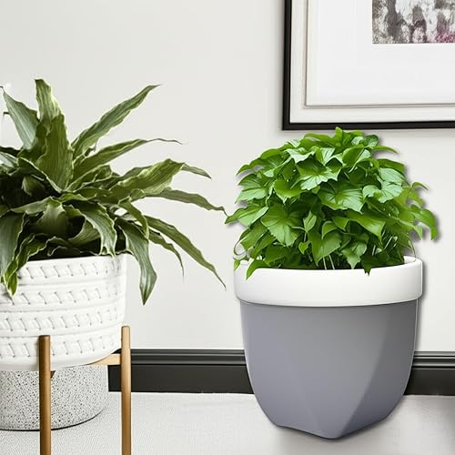 Miniatura 8 de Hosley Maceta Grower Versa - Tu elección de color y tamaño. Ideal para bodas, fiestas, decoración del hogar, oficina, spa K9 (6.5 pulgadas, negro)