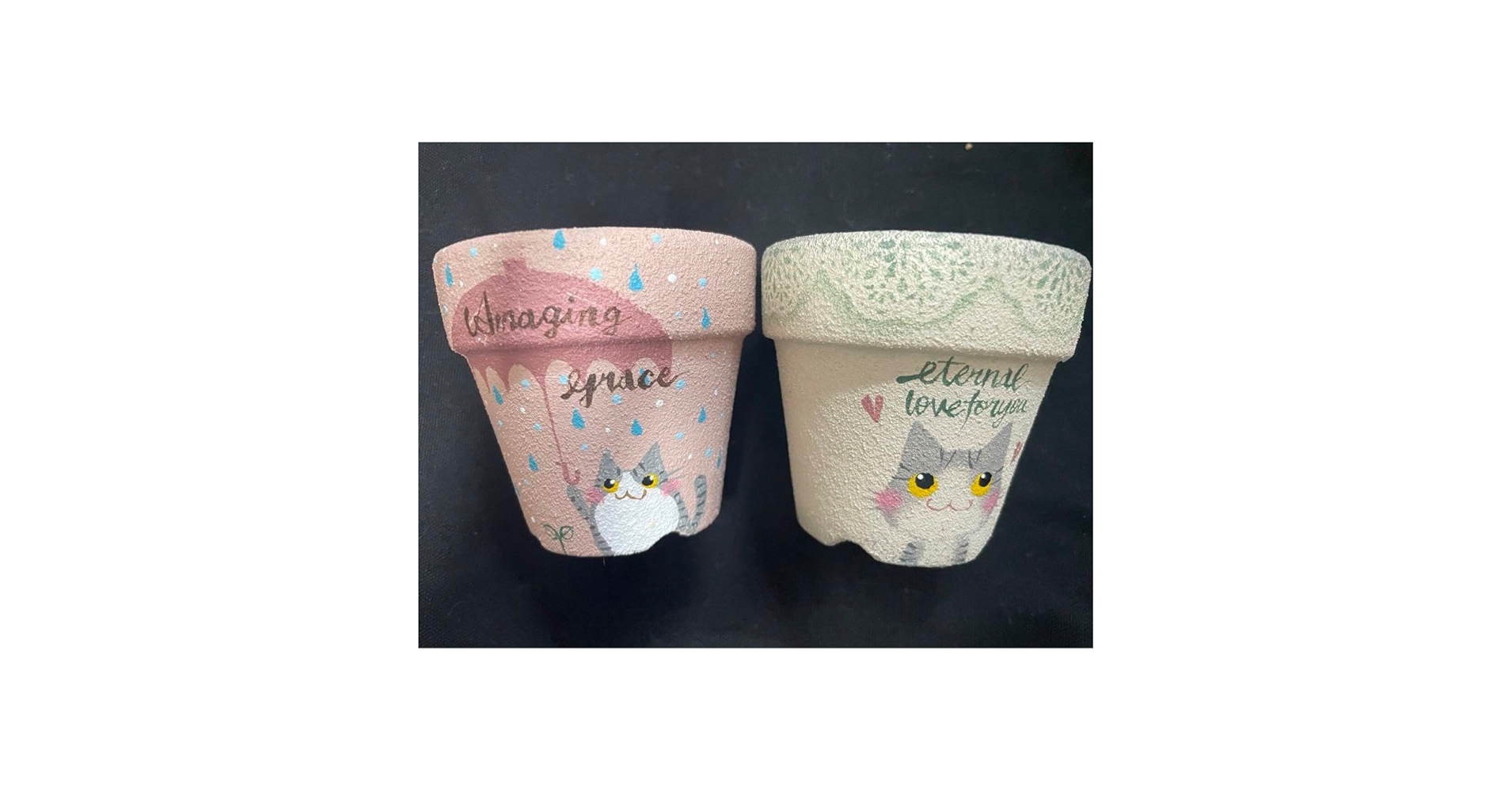 Amazon.co.jp: リメイク鉢 有名作家 2個セット まちゃごろう 多肉