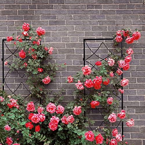 Relaxdays Rankgitter Metall, 3er Set, zum Stecken, Rankhilfe für Kletterpflanzen, 122 x 31 cm, Spalier Garten, schwarz