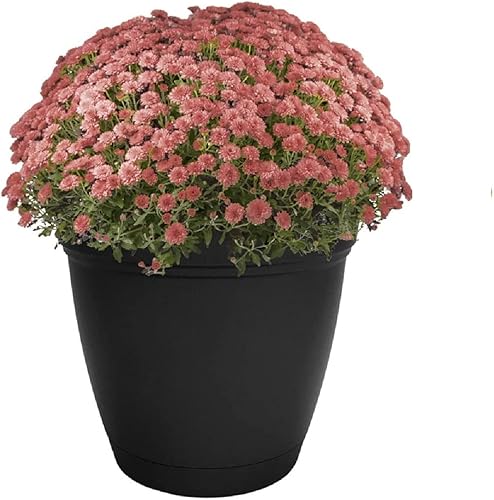 Miniatura 8 de The HC Companies Eclipse Maceta redonda de 6 pulgadas, con platillo, maceta para interiores y exteriores, para flores, verduras y hierbas, negro