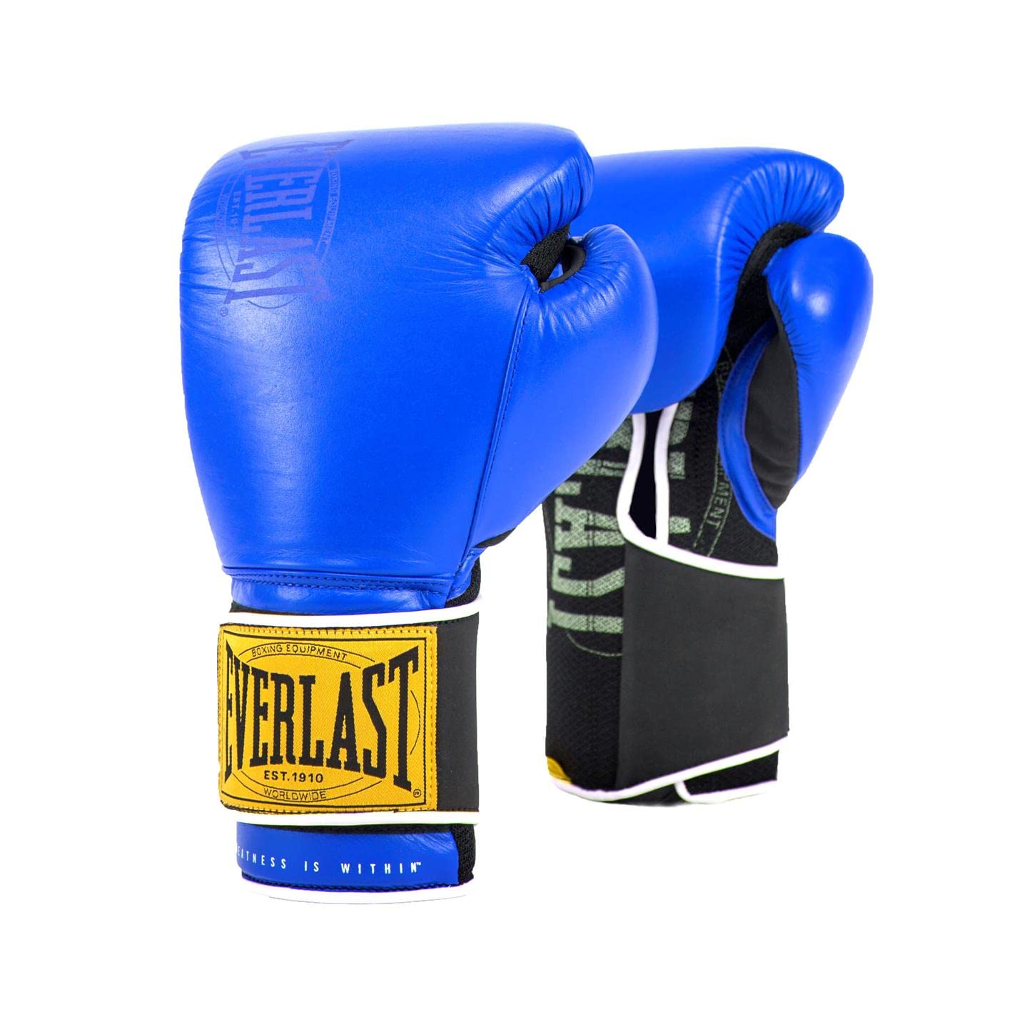EverlastUnisex Classic Training Boxing Gloves